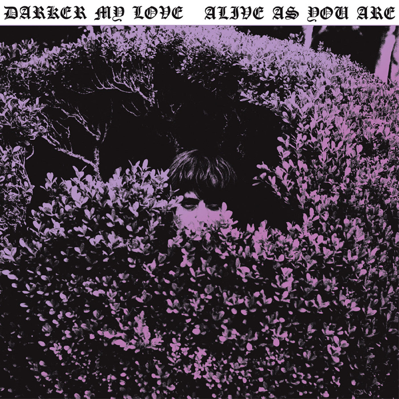 Darker My Love - Alive As You Are Vinyl Record
