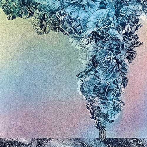 Carnation |
