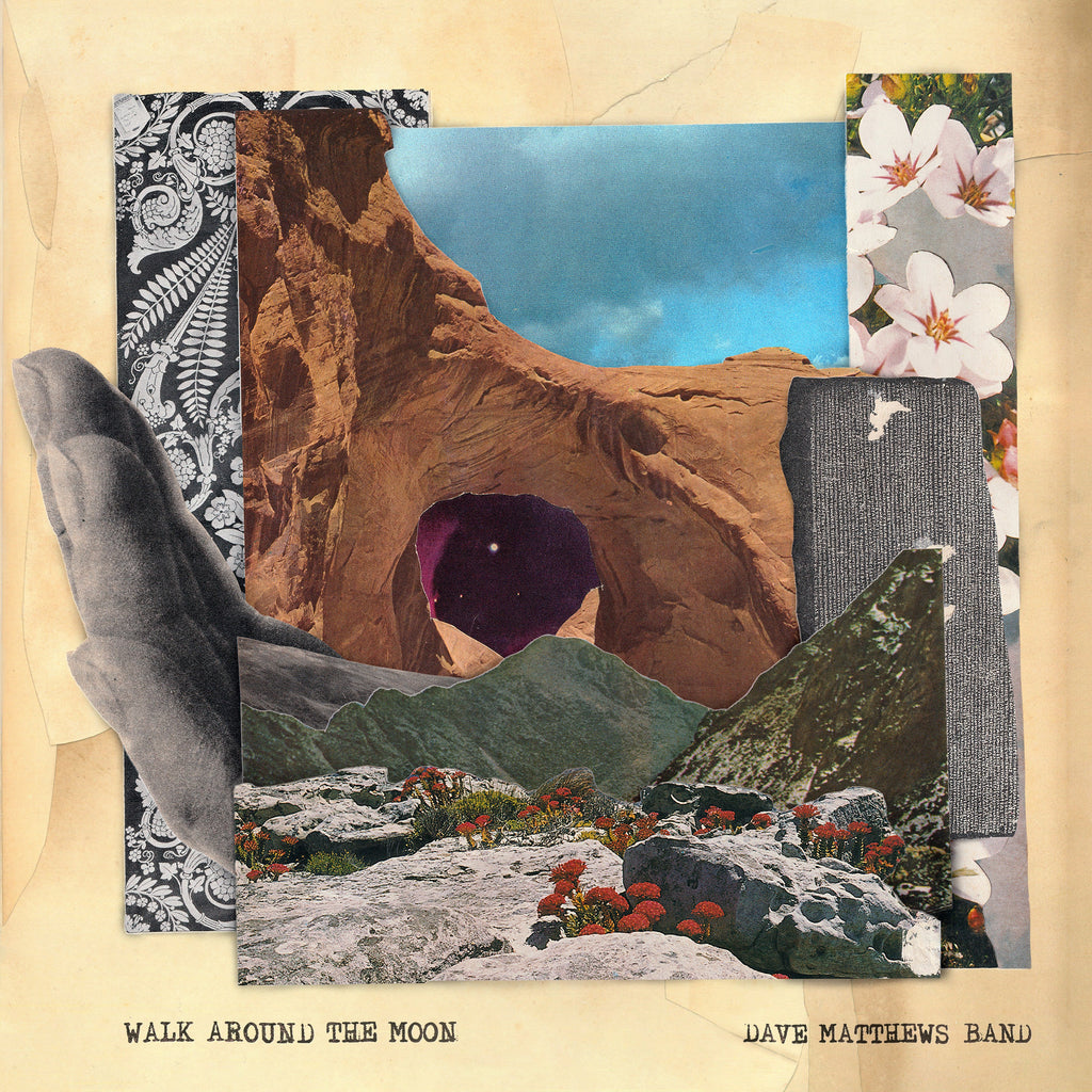 Walk Around The Moon (Clear Vinyl, Indie Exclusive) Vinyl Record