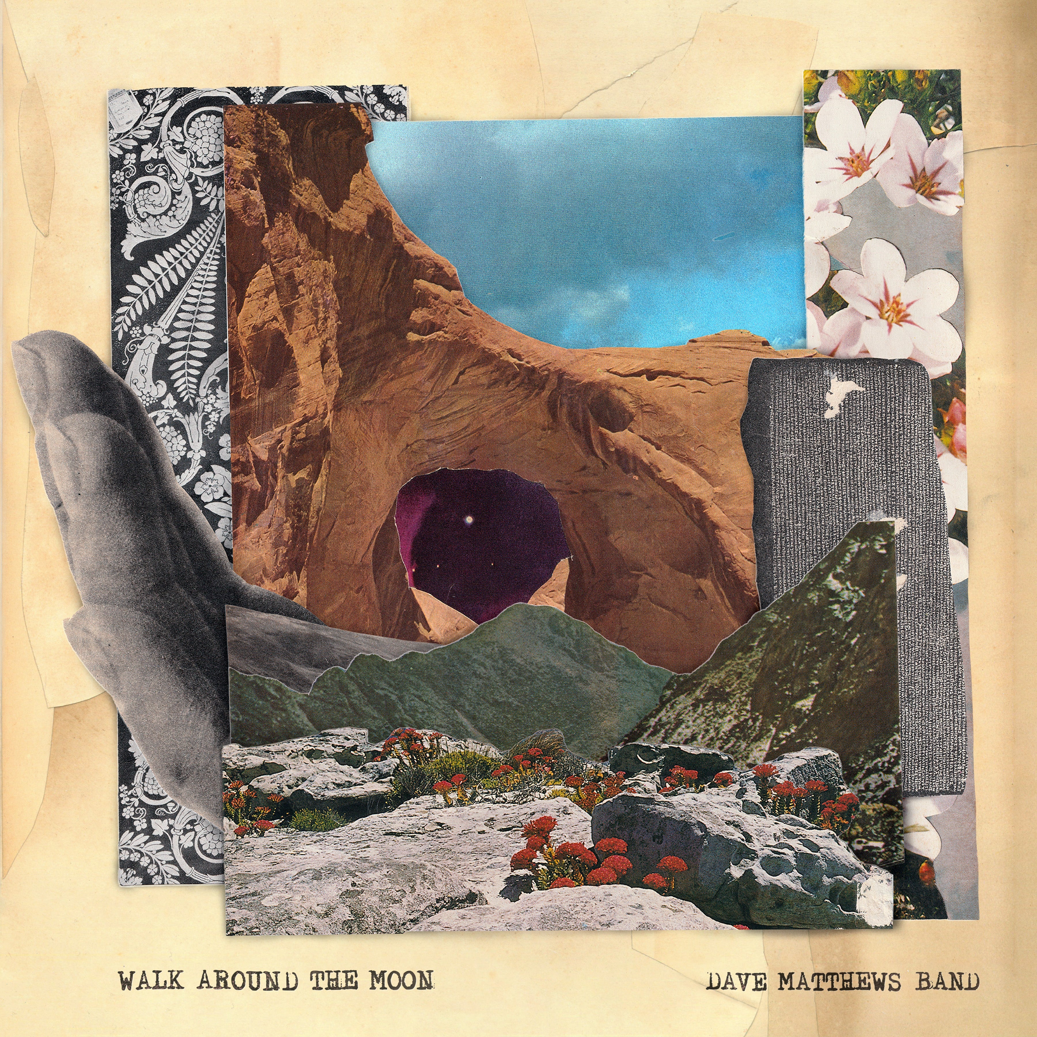 Walk Around The Moon (Clear Vinyl, Indie Exclusive) Vinyl Record
