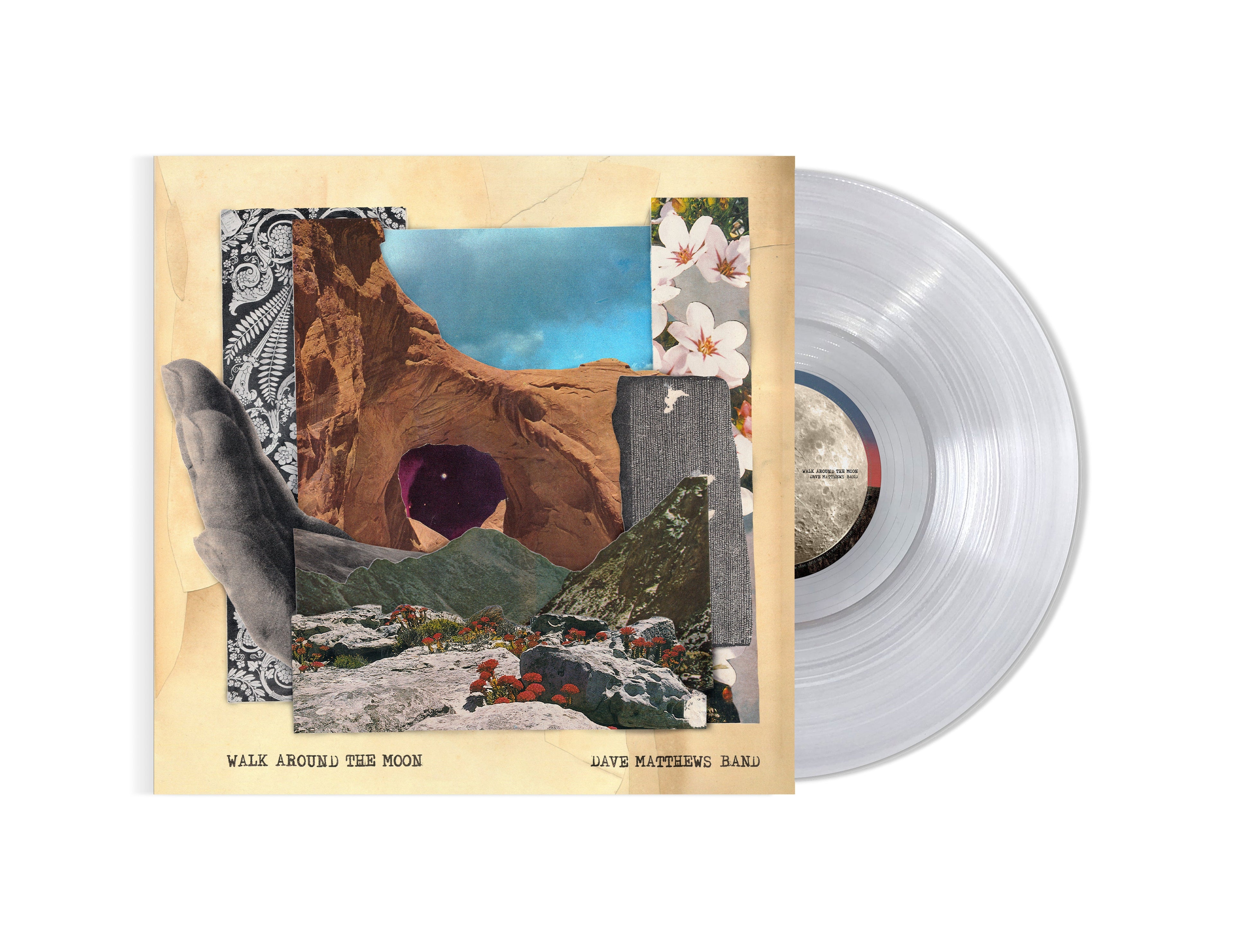 Walk Around The Moon (Clear Vinyl, Indie Exclusive) Vinyl Record