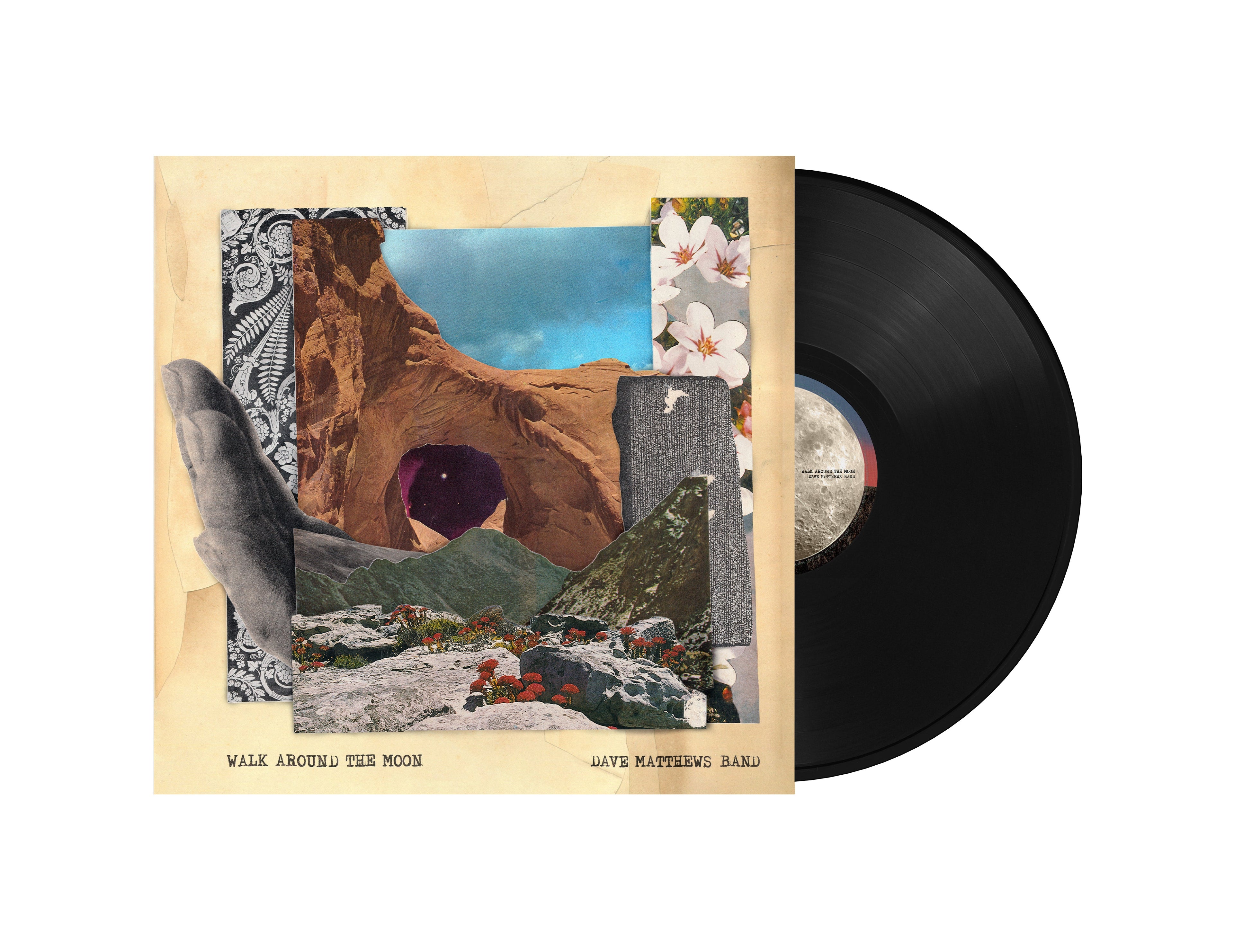 Dave Matthews Band Walk Around The Moon (Wide Vinyl, Black) Vinyl Record