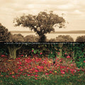 Be Still Music CD