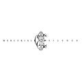 David Eugene Edwards - Mercurial Silence (Indie Exclusive, Transparent Clear Vinyl) Vinyl Record