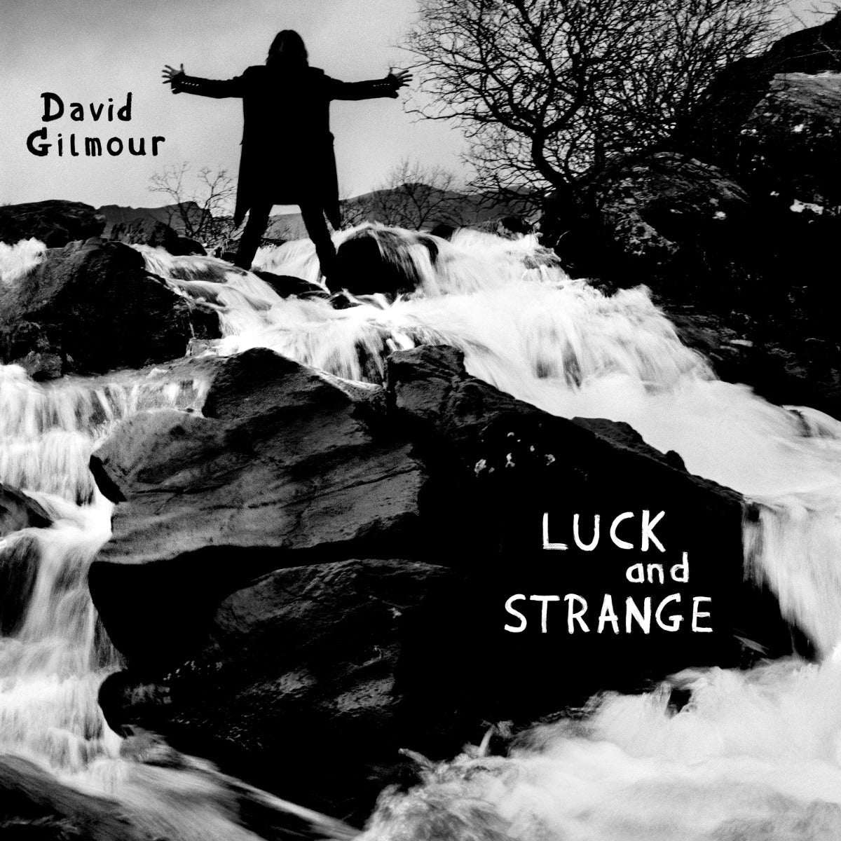 Luck and Strange Music CD