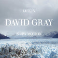 (PRE-ORDER 11/7/25) Life in Slow Motion (20th Anniversary Edition) | Mint (M) Mint (M)