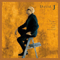 David J - Tracks From The Attic Revisited |