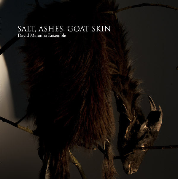 Salt, Ashes, Goat Skin Vinyl Record