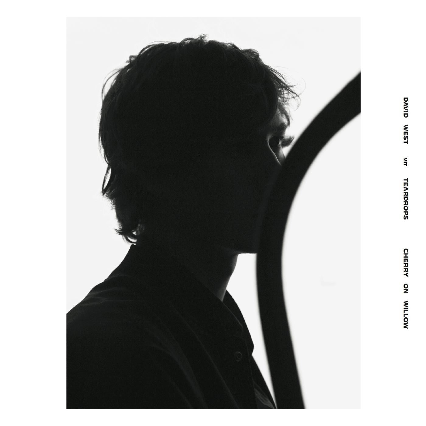 Cherry On Willow Music CD