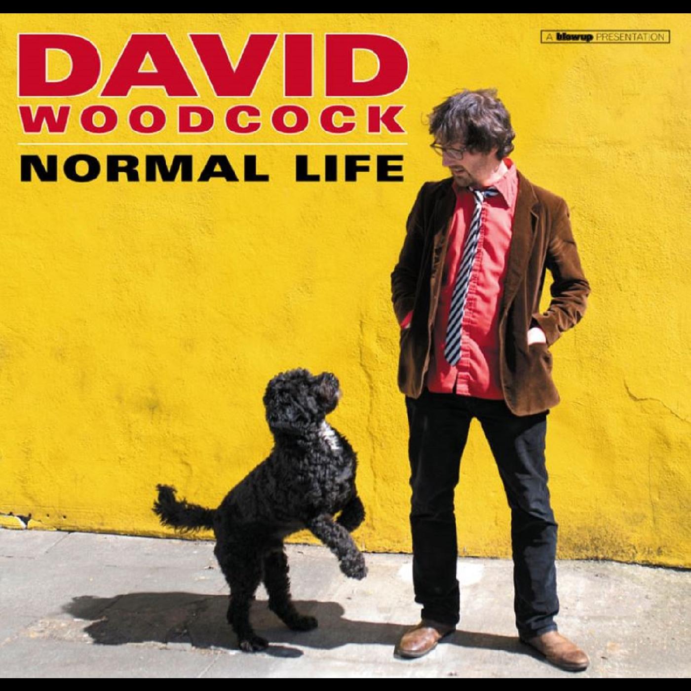 Normal Life Vinyl Record