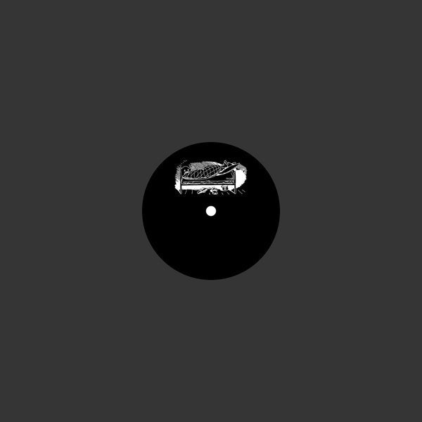 Ordinary Sleep Vinyl Record