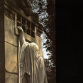 Dead Can Dance - Within The Realm Of A Dying Sun | Mint (M) Mint (M)