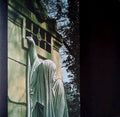 Dead Can Dance Within The Realm Of A Dying Sun 4AD LP, Album, RE, RM, RP Mint (M) Mint (M)