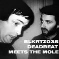 Deadbeat Meets The Mole (2LP VINYL) | Mint (M) Mint (M)
