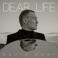 Dear Life (2LP Seaweed Green) Vinyl Record