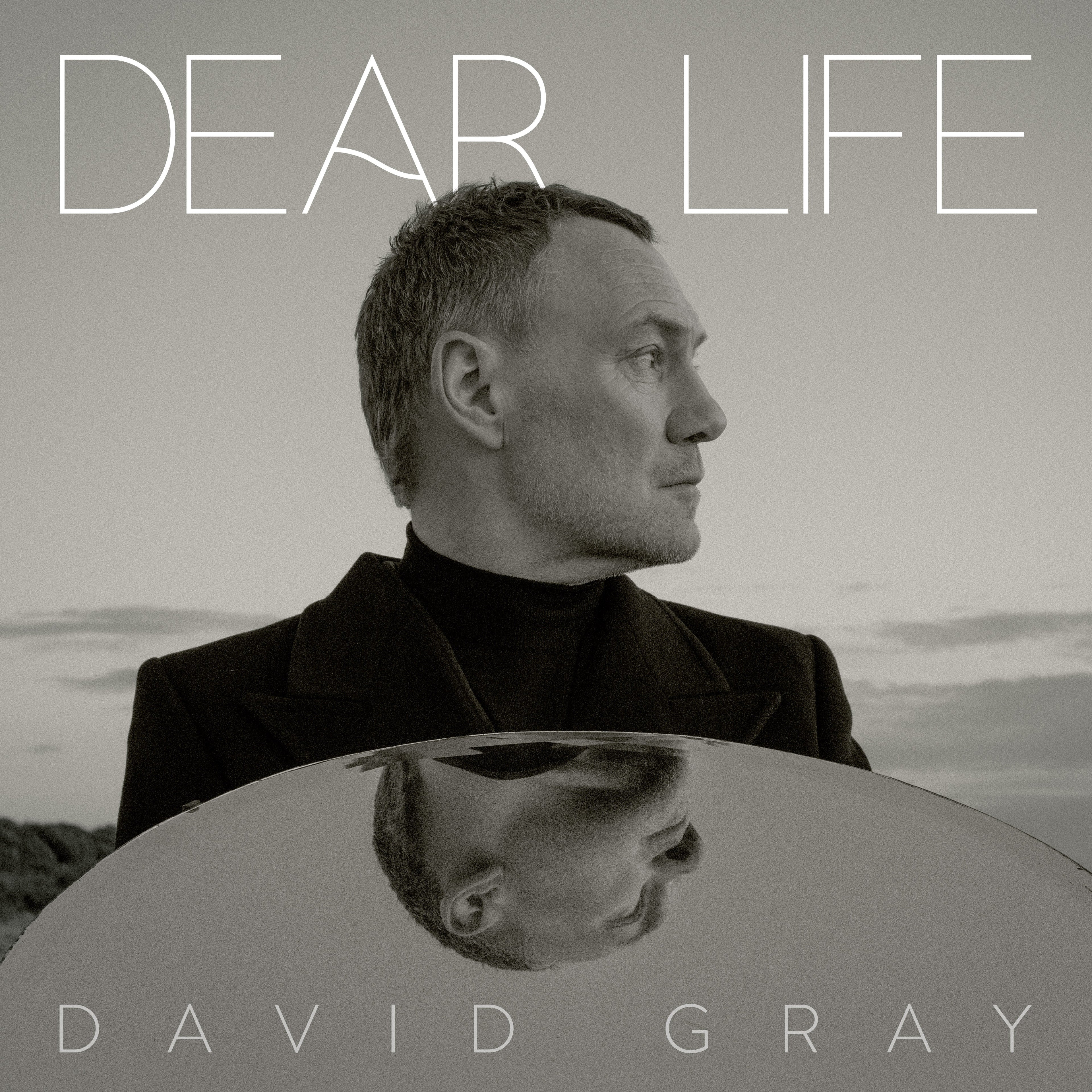 Dear Life (2LP Seaweed Green) Vinyl Record