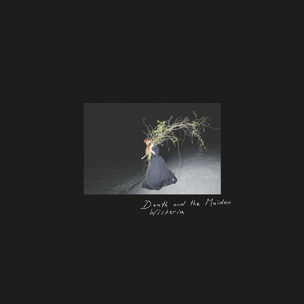 Wisteria Music CD