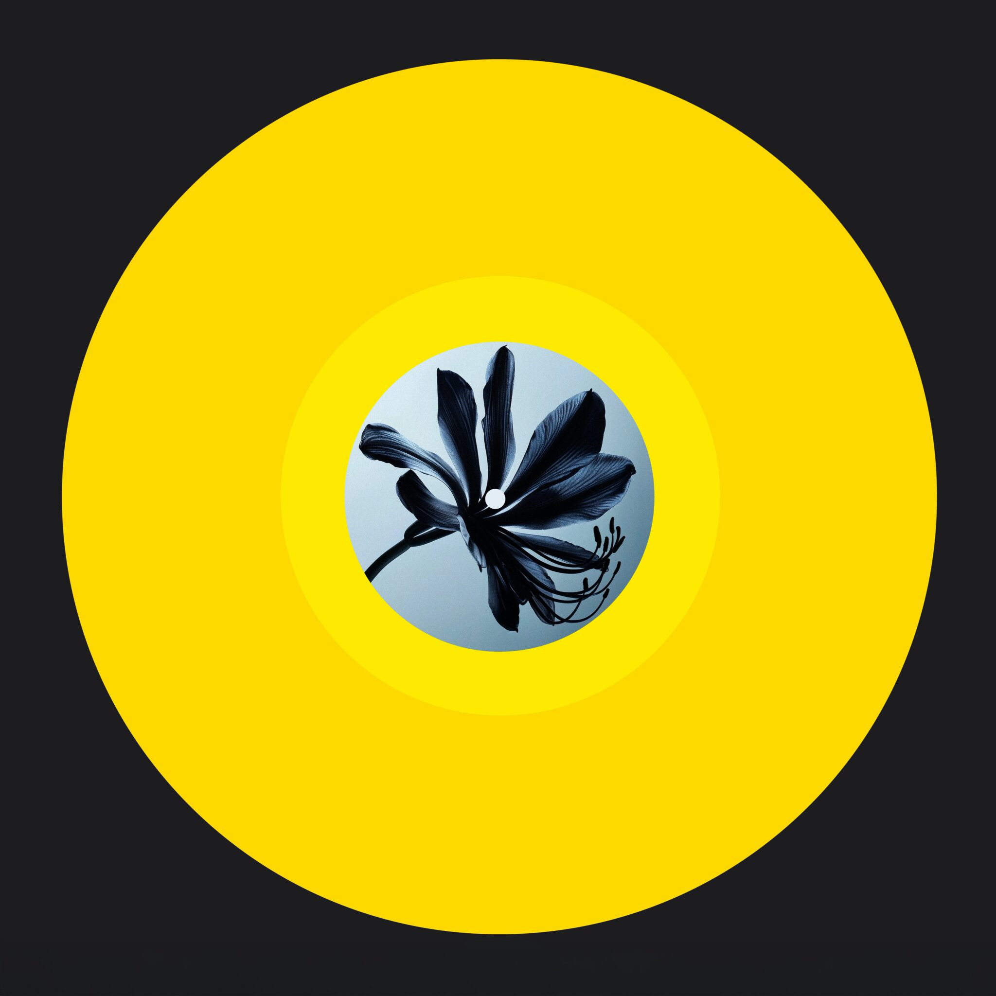 Delavelour - Glimpse Of Light (Fred Everything & Lee Curtiss Reworks) (YELLOW VINYL) | Mint (M) Mint (M)