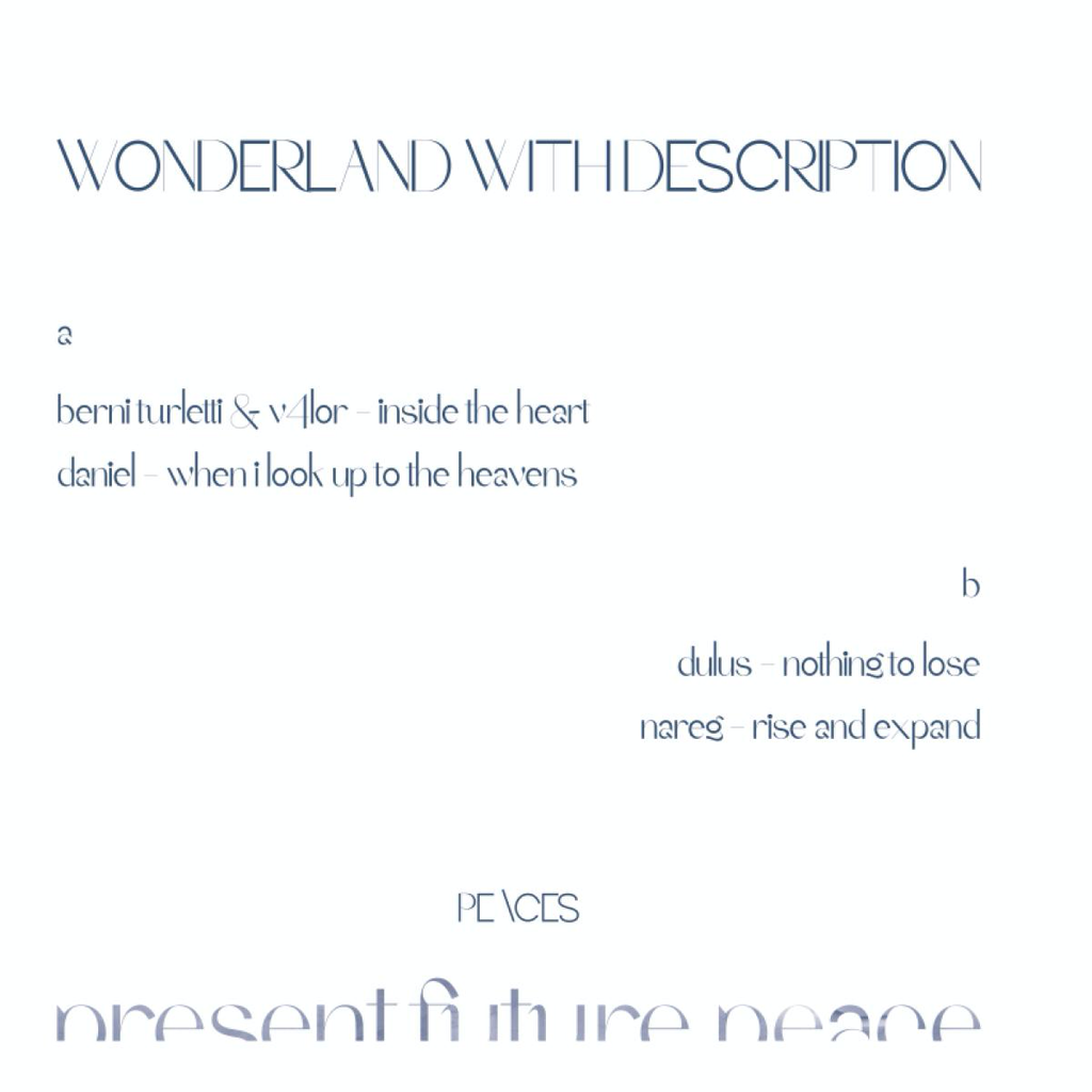 Various - (PRESALE) Wonderland With Description (WHITE VINYL) | Mint (M) Mint (M)