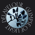 Delavelour - Glimpse Of Light (Fred Everything & Lee Curtiss Reworks) (YELLOW VINYL) | Mint (M) Mint (M)