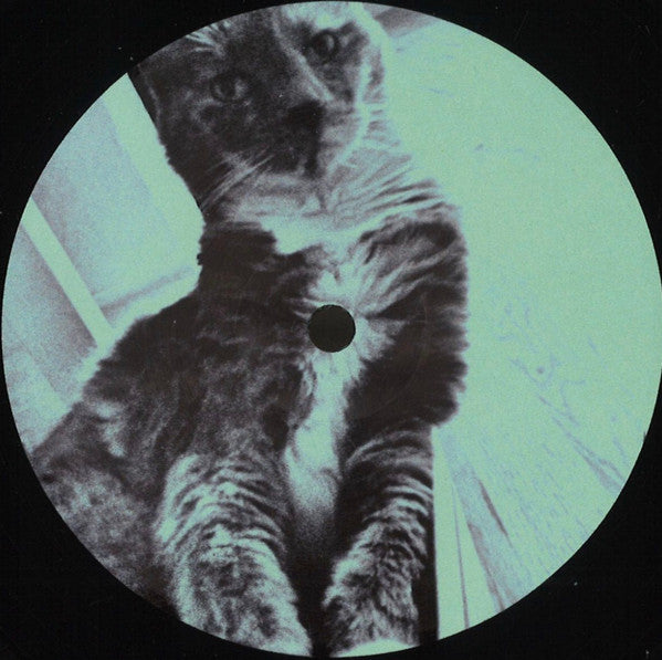 Untitled (VINYL) | Mint (M) Generic