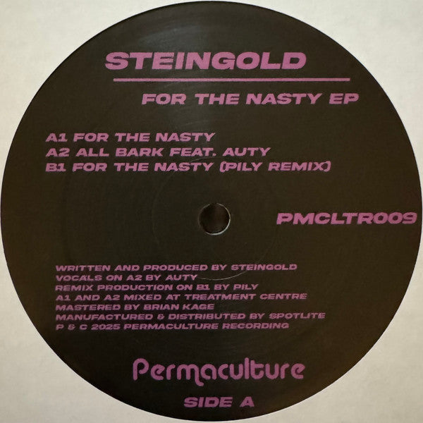 Steingold - For The Nasty EP (VINYL) | Mint (M) Mint (M)