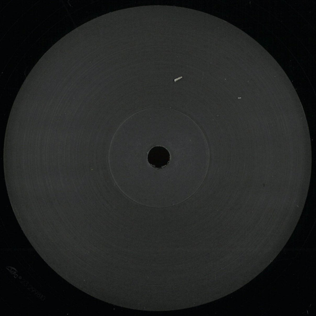 Kenny Dixon Jr. - Jan Edits & Remixes Vol. 2 (VINYL) | Mint (M) Mint (M)