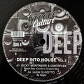 Deep Into House Vol. 3 (VINYL 12") | Mint (M) Mint (M)