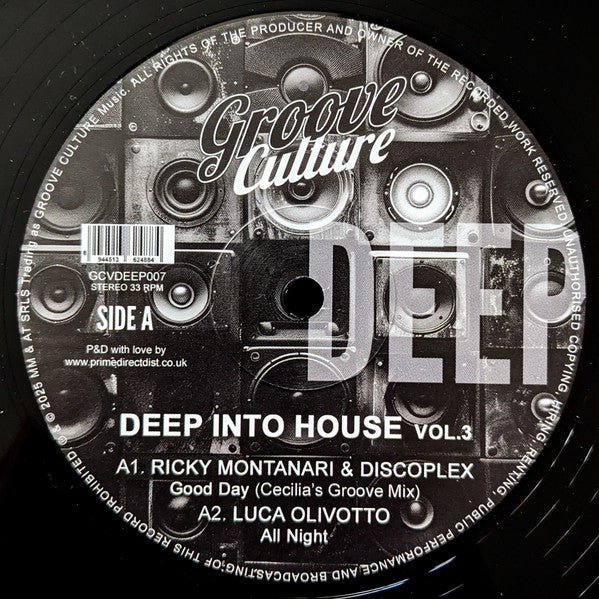 Deep Into House Vol. 3 (VINYL 12") | Mint (M) Mint (M)