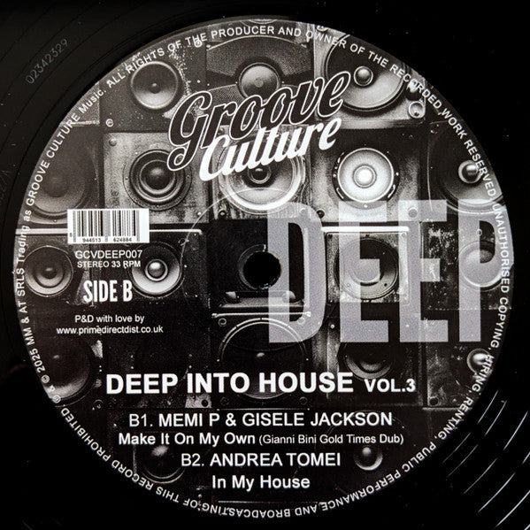 Deep Into House Vol. 3 (VINYL 12") | Mint (M) Mint (M)