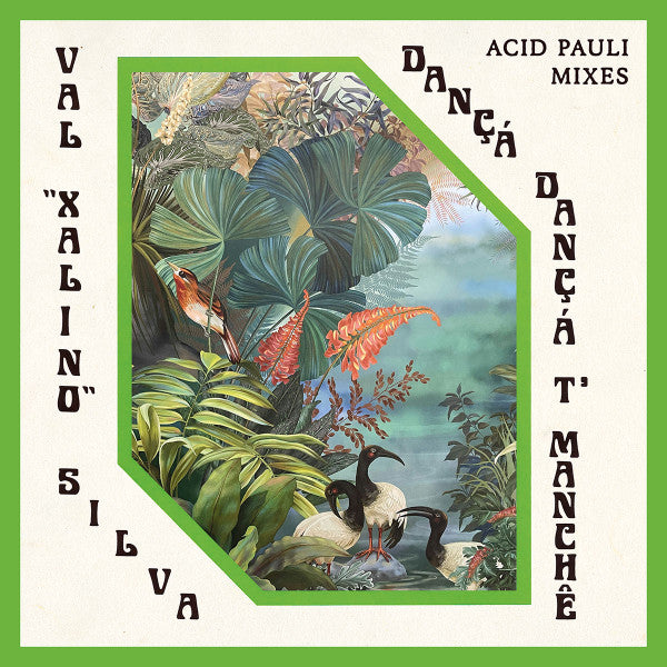 Dançá Dançá T'Manchê (Acid Pauli Mixes)(VINYL) | Mint (M) Mint (M)