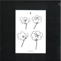 Lawrence - Poppies (VINYL) |