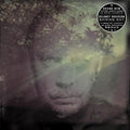 Shining Day Vinyl Record