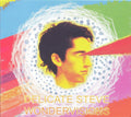 Wondervisions Music CD