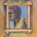 Captivity Vinyl Record