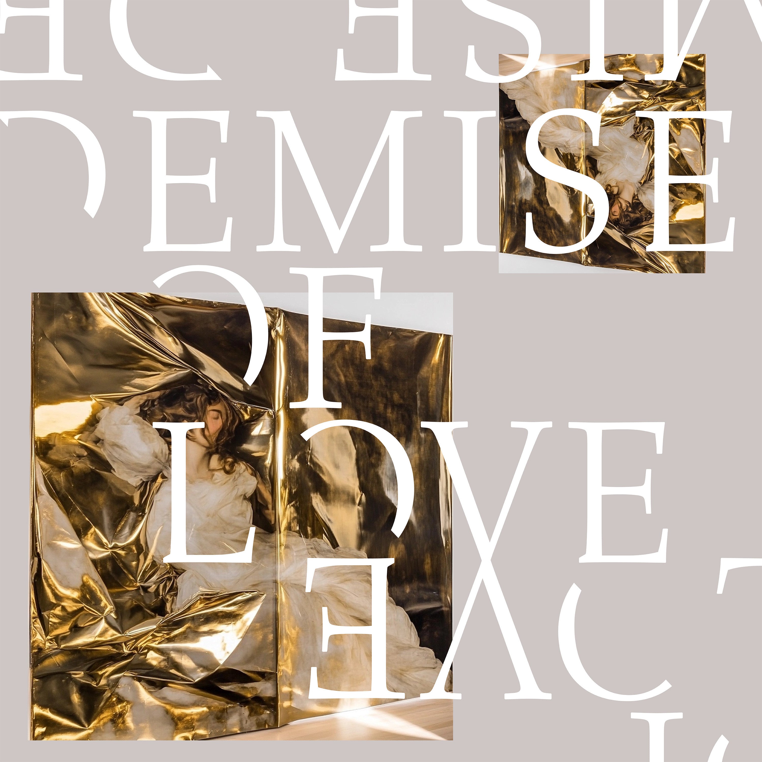 Demise Of Love Vinyl Record