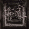 Demonic Possessor - Porous Chambers Vinyl Record