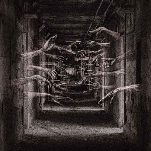 Demonic Possessor - Porous Chambers Vinyl Record