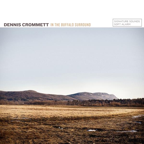 In The Buffalo Surround Music CD