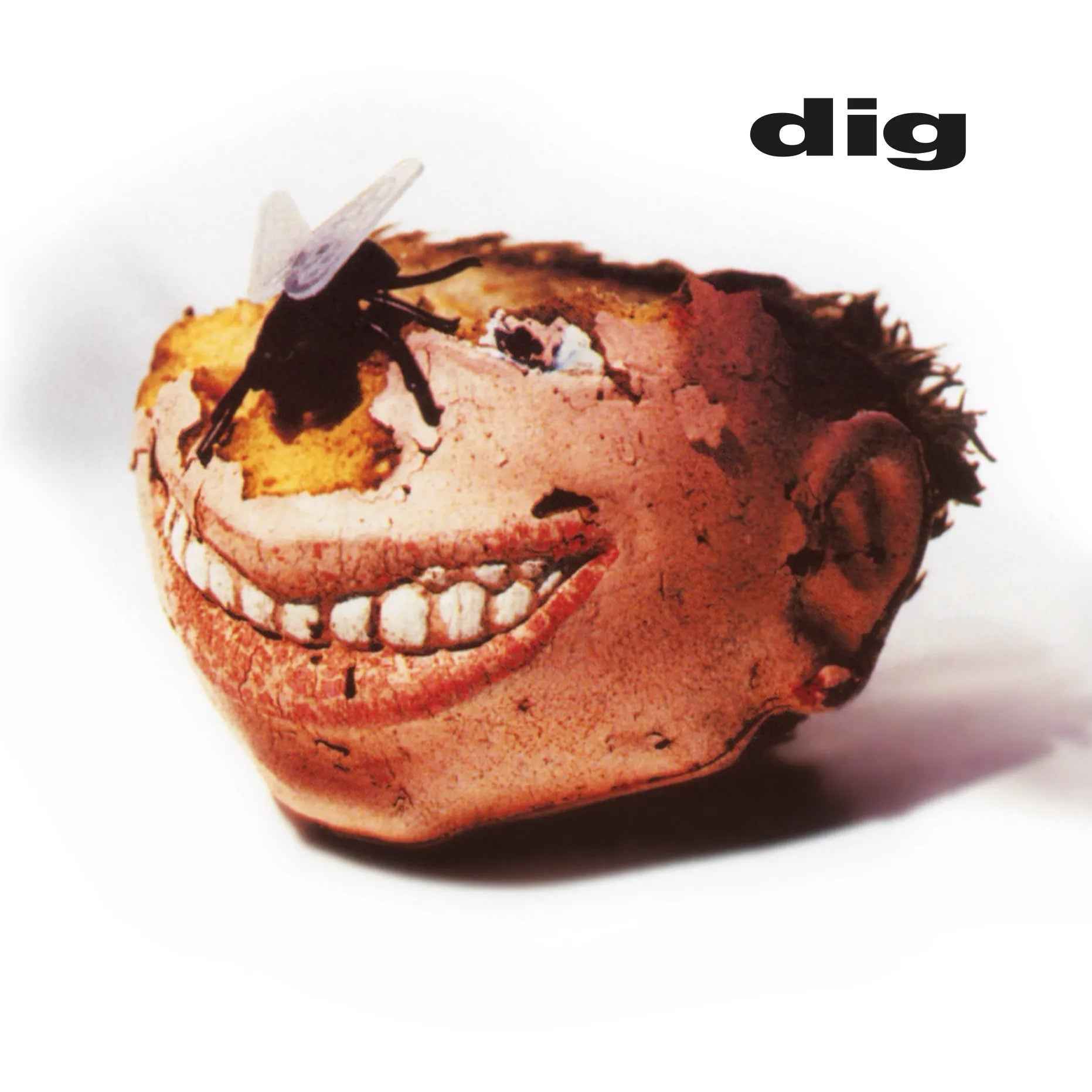 Dig - Dig (180G) Vinyl Record