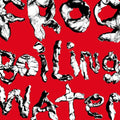 Frog In Boiling Water Music CD