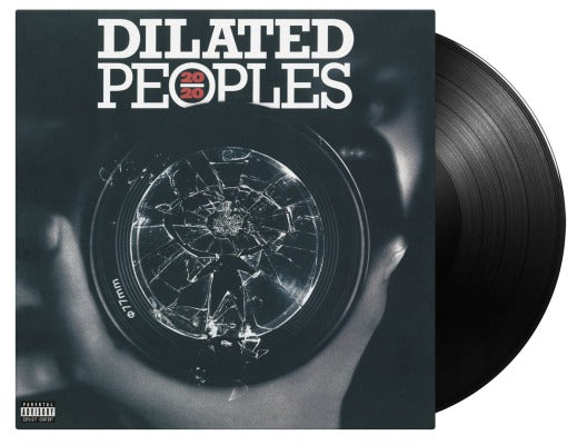 20/ 20 (180 Gram Vinyl, Black) [Import] (2 Lp's) |