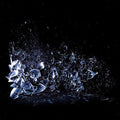 DISSOCIATION |