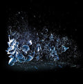 DISSOCIATION |