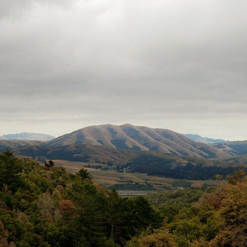 Dirty Projectors / Bjork - Mount Wittenberg Orca (RSD 4.22.23) Vinyl Record