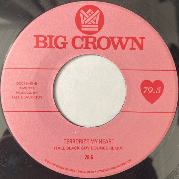Terrorize My Heart (Disco Dub) | Mint (M) Generic