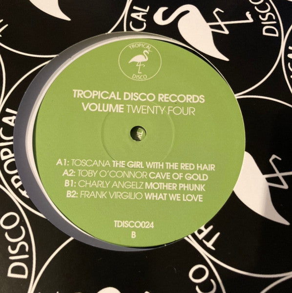 Tropical Disco Records Volume Twenty Four (VINYL) | Mint (M) Mint (M)