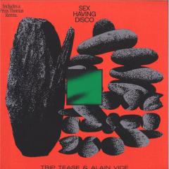 Sex Having Disco (VINYL 12") | Mint (M) Mint (M)