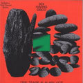 Sex Having Disco (VINYL 12") | Mint (M) Mint (M)