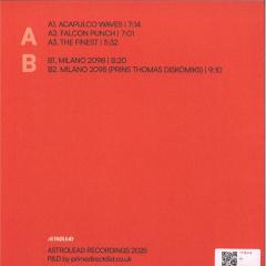 Sex Having Disco (VINYL 12") | Mint (M) Mint (M)
